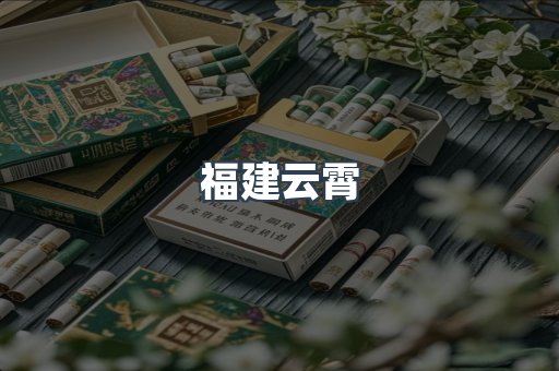 福建云霄